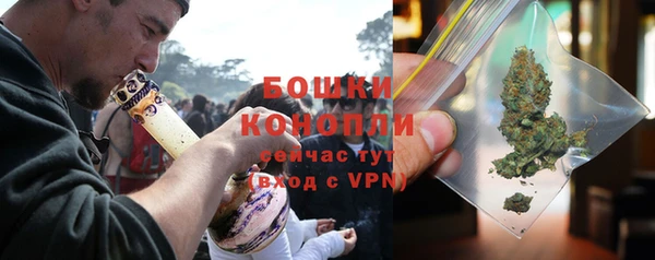 крисы Дмитриев