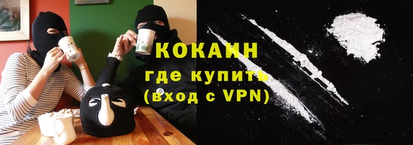 крисы Дмитриев