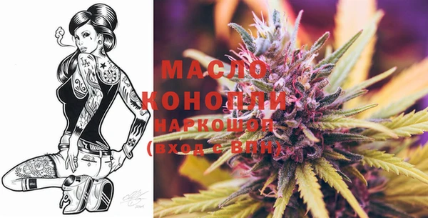 крисы Дмитриев